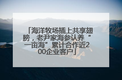 海洋牧场插上共享翅膀，老尹家海参认养“一亩海”累计合作近200企业客户
