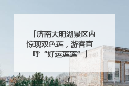 济南大明湖景区内惊现双色莲，游客直呼“好运莲莲”