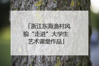浙江东海渔村风貌“走进”大学生艺术课堂作品