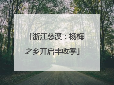 浙江慈溪：杨梅之乡开启丰收季