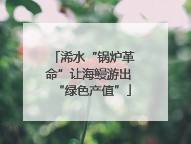 浠水“锅炉革命”让海鳗游出“绿色产值”