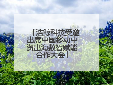 浩鲸科技受邀出席中国移动中资出海数智赋能合作大会