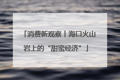 消费新观察丨海口火山岩上的“甜蜜经济”