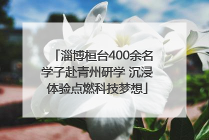 淄博桓台400余名学子赴青州研学 沉浸体验点燃科技梦想