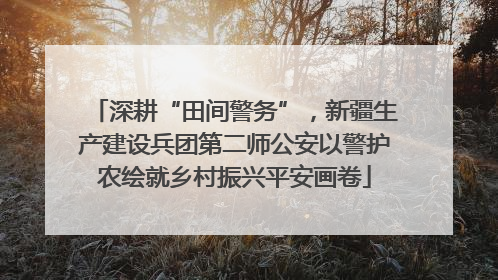 深耕“田间警务”，新疆生产建设兵团第二师公安以警护农绘就乡村振兴平安画卷