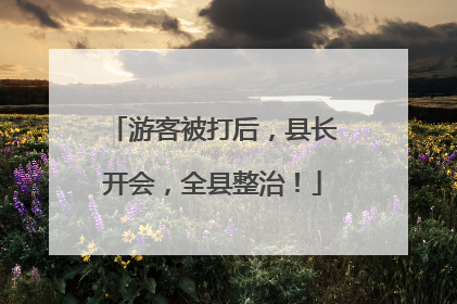 游客被打后，县长开会，全县整治！