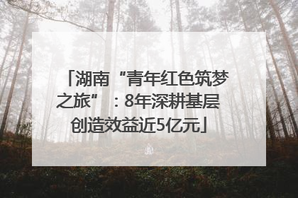 湖南“青年红色筑梦之旅”:8年深耕基层创造效益近5亿元