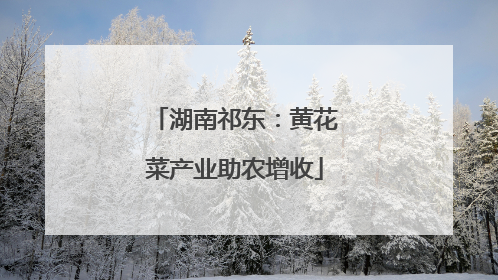 湖南祁东：黄花菜产业助农增收