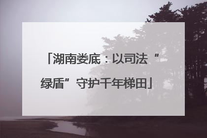 湖南娄底：以司法“绿盾”守护千年梯田