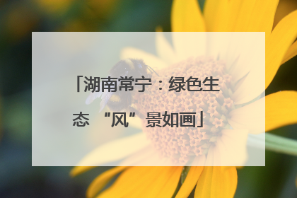 湖南常宁：绿色生态 “风”景如画