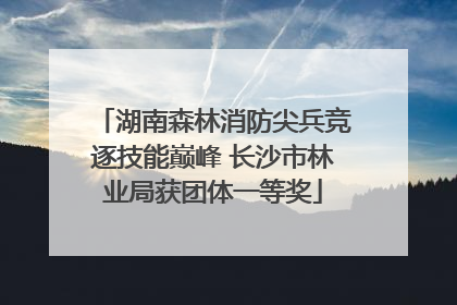 湖南森林消防尖兵竞逐技能巅峰 长沙市林业局获团体一等奖