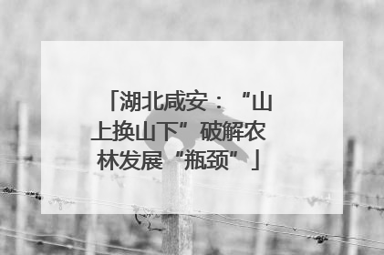 湖北咸安：“山上换山下”破解农林发展“瓶颈”
