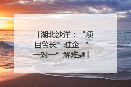 湖北沙洋：“项目警长”驻企 “一对一”解难题