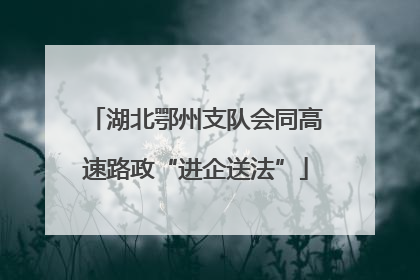 湖北鄂州支队会同高速路政“进企送法”
