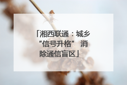 湘西联通：城乡“信号升格” 消除通信盲区