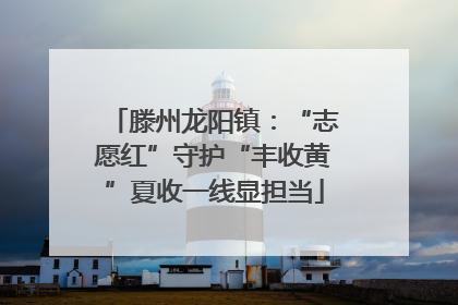 滕州龙阳镇：“志愿红”守护“丰收黄”夏收一线显担当