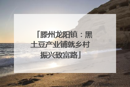 滕州龙阳镇：黑土豆产业铺就乡村振兴致富路