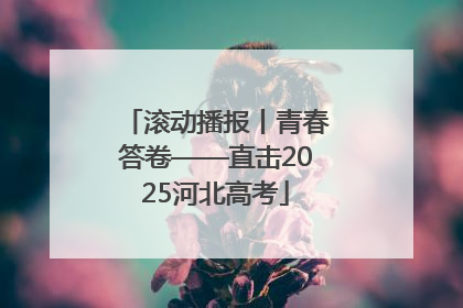 滚动播报丨青春答卷——直击2025河北高考