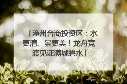 漳州台商投资区：水更清、景更美！龙舟竞渡见证满城碧水