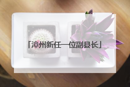 漳州新任一位副县长