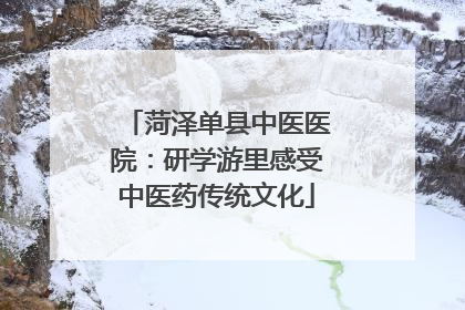 菏泽单县中医医院：研学游里感受中医药传统文化