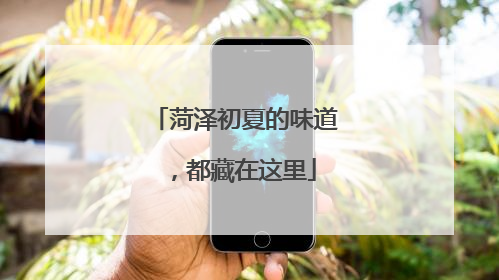 菏泽初夏的味道，都藏在这里