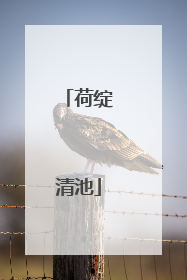 荷绽清池