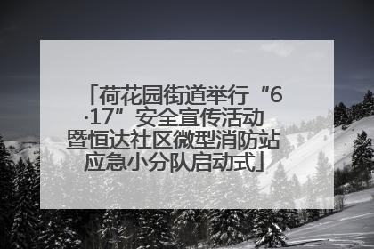 荷花园街道举行“6·17”安全宣传活动暨恒达社区微型消防站应急小分队启动式