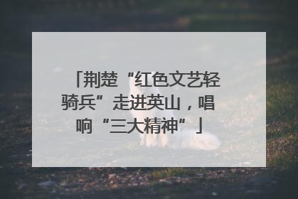 荆楚“红色文艺轻骑兵”走进英山，唱响“三大精神”
