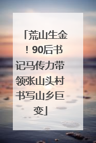 荒山生金！90后书记马传力带领张山头村书写山乡巨变