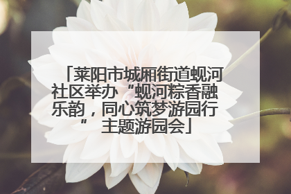 莱阳市城厢街道蚬河社区举办“蚬河粽香融乐韵，同心筑梦游园行” 主题游园会
