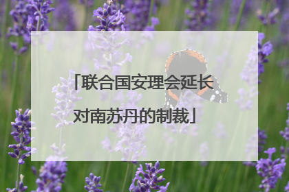 联合国安理会延长对南苏丹的制裁