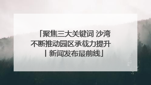 聚焦三大关键词 沙湾不断推动园区承载力提升丨新闻发布最前线