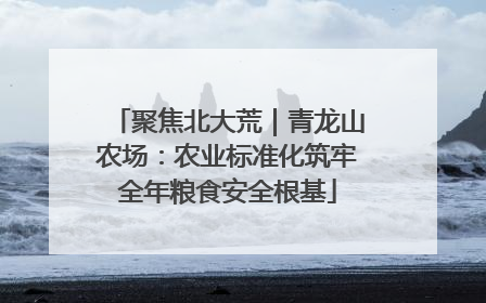 聚焦北大荒｜青龙山农场：农业标准化筑牢全年粮食安全根基