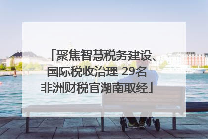 聚焦智慧税务建设、国际税收治理 29名非洲财税官湖南取经