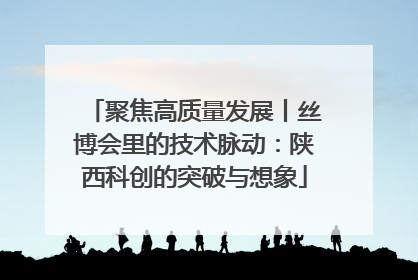 聚焦高质量发展丨丝博会里的技术脉动：陕西科创的突破与想象