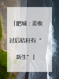 肥城：麦收过后秸秆有“新生”