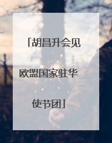 胡昌升会见欧盟国家驻华使节团