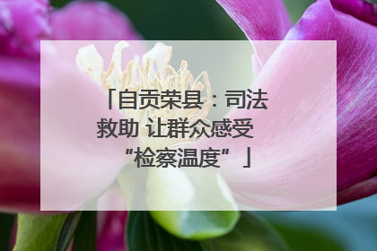 自贡荣县：司法救助 让群众感受“检察温度”