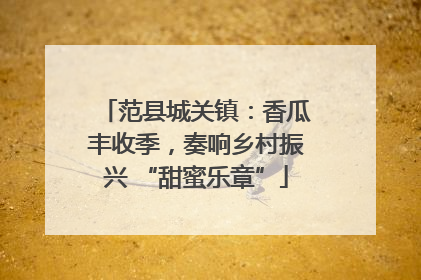 范县城关镇：香瓜丰收季，奏响乡村振兴 “甜蜜乐章”