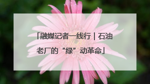 融媒记者一线行｜石油老厂的“绿”动革命