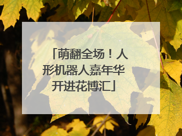 萌翻全场！人形机器人嘉年华开进花博汇