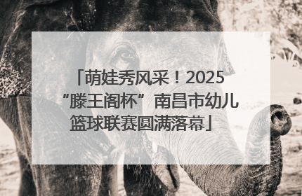 萌娃秀风采！2025“滕王阁杯”南昌市幼儿篮球联赛圆满落幕