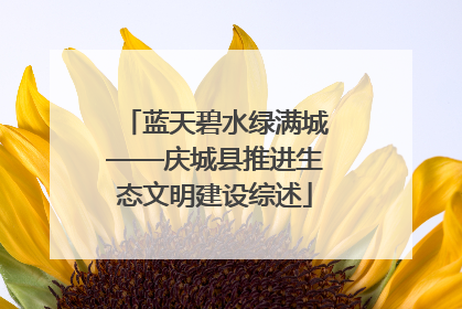 蓝天碧水绿满城——庆城县推进生态文明建设综述