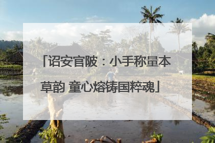 诏安官陂：小手称量本草韵 童心熔铸国粹魂