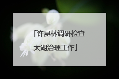 许昆林调研检查太湖治理工作