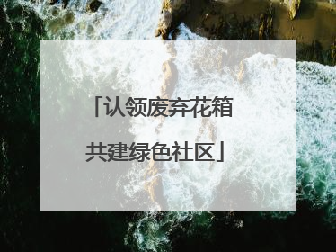 认领废弃花箱 共建绿色社区