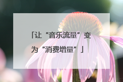 让“音乐流量”变为“消费增量”
