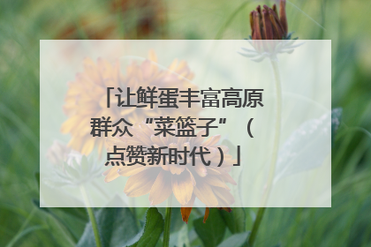 让鲜蛋丰富高原群众“菜篮子”（点赞新时代）