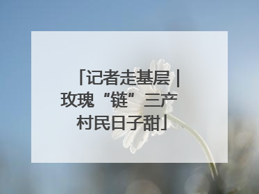 记者走基层｜玫瑰“链”三产 村民日子甜